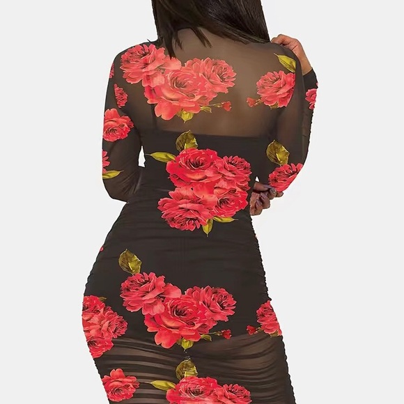 Floral Semi Sheer Dress - Picture 2 of 5